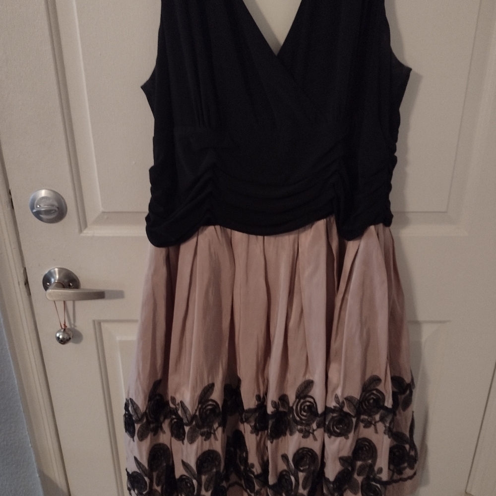 Rose and black chiffon dress
